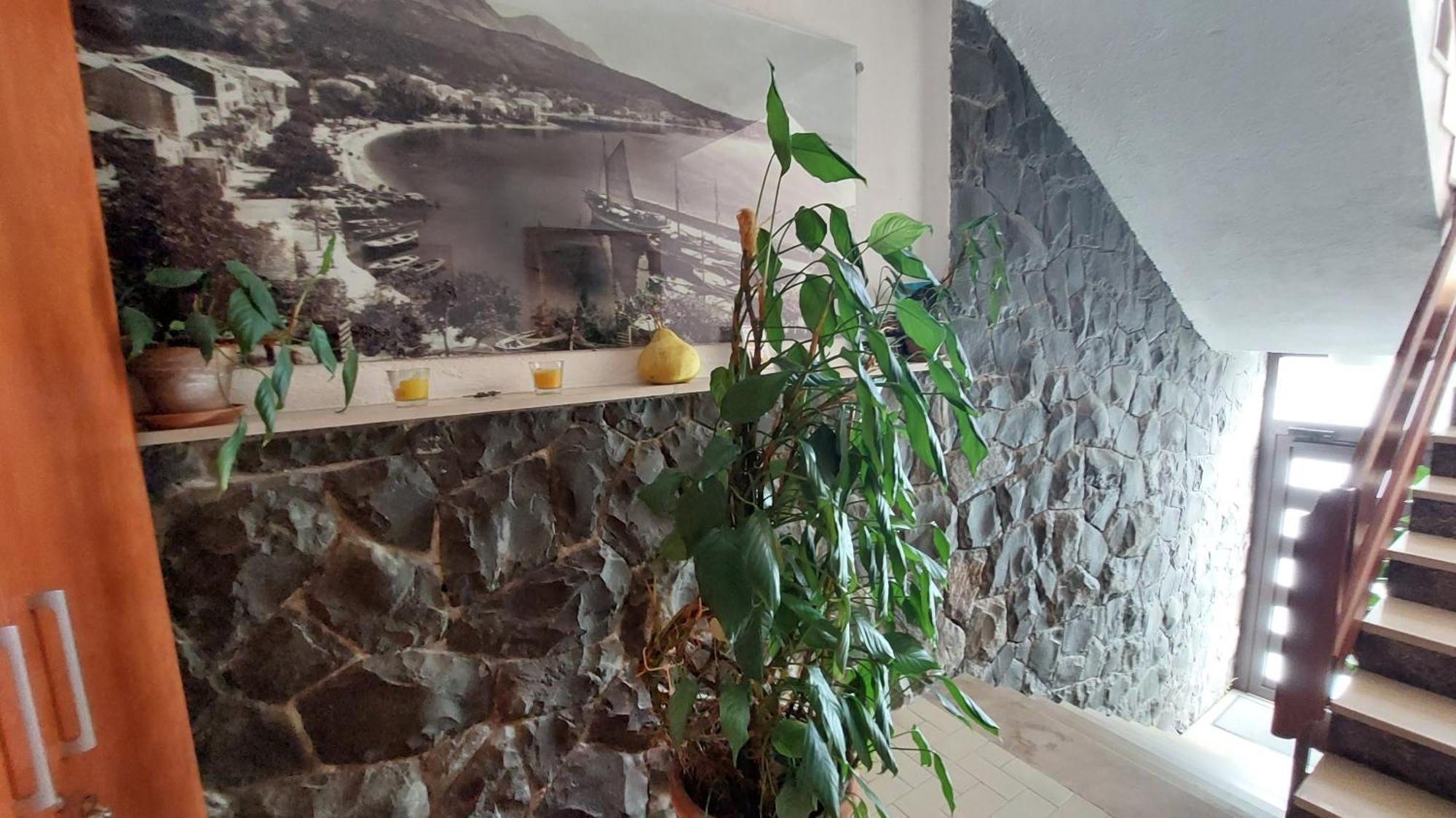 Haus Sonja Appartement Podgora Buitenkant foto